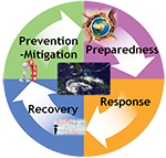 International Trends in Disaster Assistance